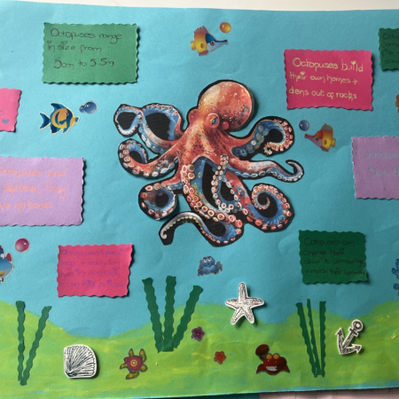 IMG 6192 scaled e1730796253593