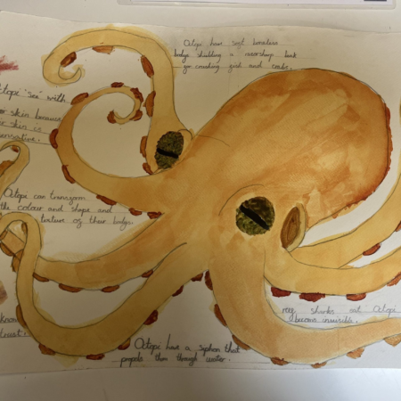 IMG 6223 scaled e1730796314107